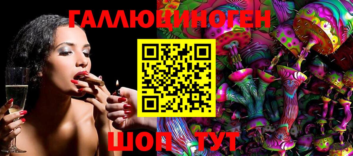 Псилоцибиновые грибы Psilocybe Казань