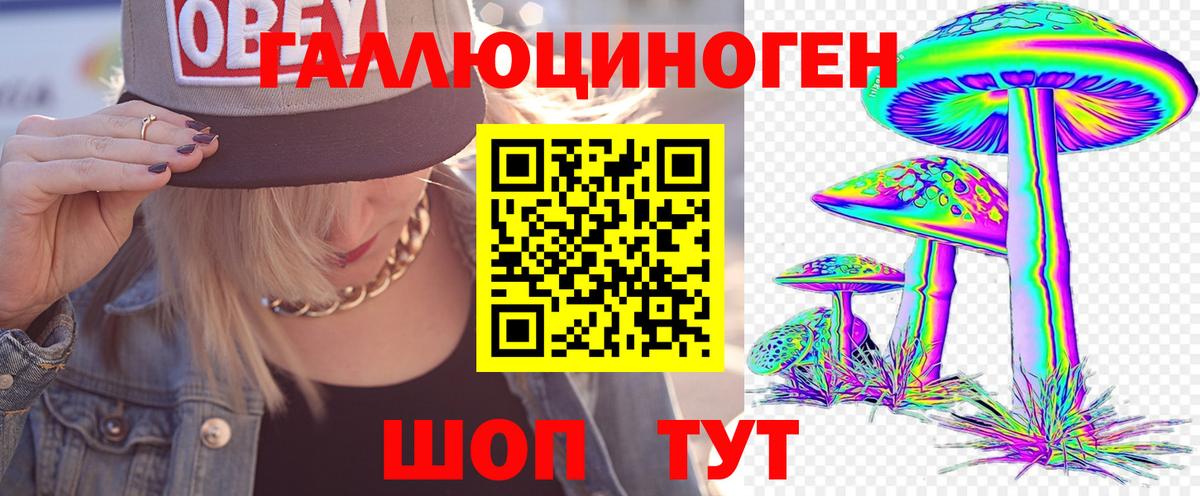 Казань  Галлюциногенные грибы мухоморы  Вход с VPN 